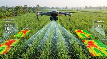 Gökyüzünden Gelen Reçete: Dronelar ve Açıklanabilir Yapay Zekâ ile Tarlada Nokta Atışı Azot Yönetimi